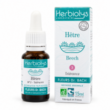 Beech - Hêtre n°3 - Fleur de Bach Bio - 15 ml