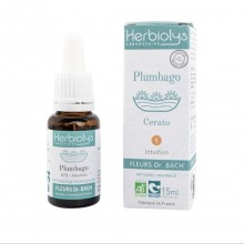 Cerato - Plumbago n°5 - Fleur de Bach Bio - 15 ml