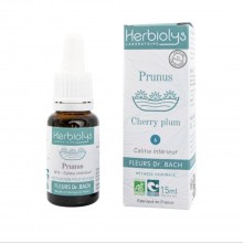 Cherry Plum - Prunus n°6 - Fleur de Bach Bio - 15 ml