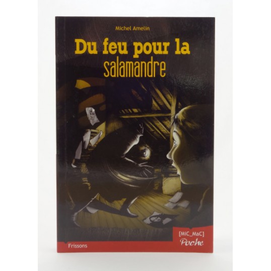Roman - Du feu pour la salamandre