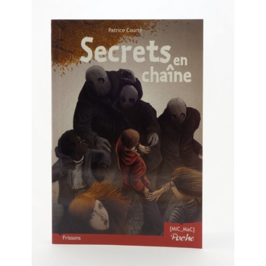 Roman - Secrets en chaîne