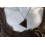 Shungite - Pendentif Triangle homme