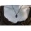 Shungite - Pendentif Drop