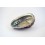 Coquillage Haliotis - 10-16cm