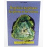 Livre - Propriétés énergétiques des pierres et des cristaux - Tome I