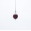 Pendule Rudraksha