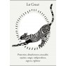 Livre - La boîte du chaman