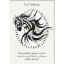 Livre - La boîte du chaman