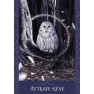 L'oracle des êtres fantastiques