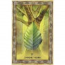 L'oracle de l'arbre celtique