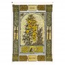Oracle Celte des Arbres