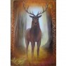 Oracle du peuple animal