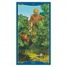 Tarot des Fées Celtes