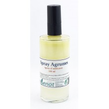 Spray d'ambiance - Agrumes
