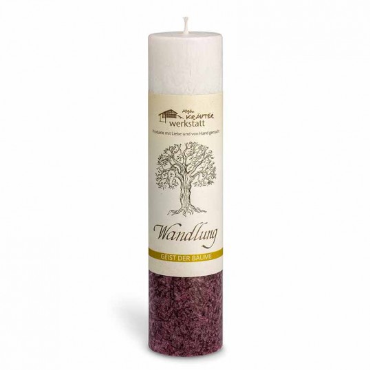 Bougie aux herbes - Transformation - Le Sureau