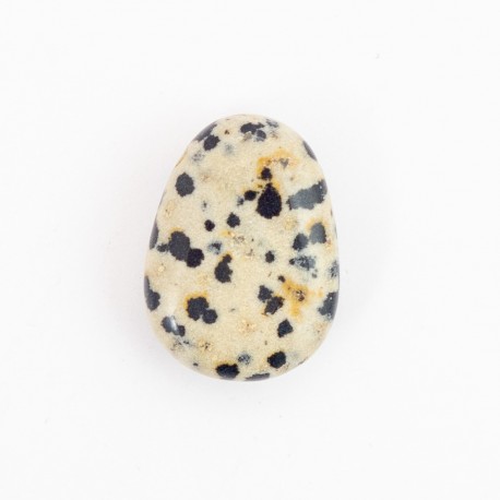 Pendentif Goutte En Pierre Jaspe Dalmatien Percée - Naturosphère - Neuf Avec étiquettes