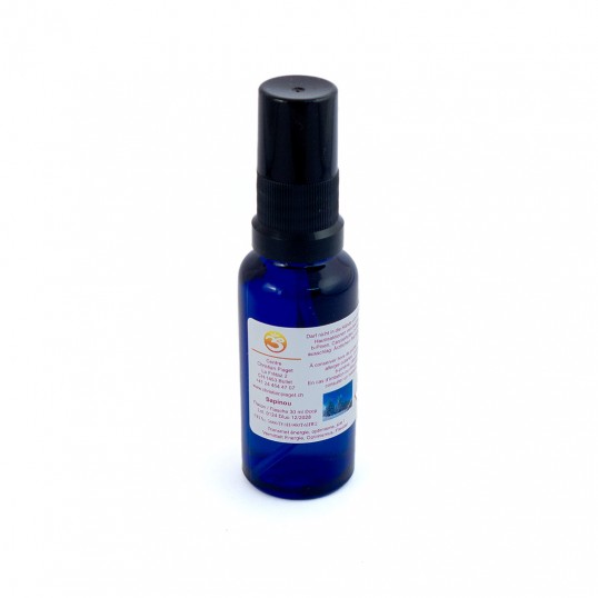 Spray purificateur - Sapinou 30 ml