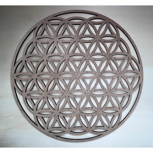 Fleur de vie chêne - 50cm à 100cm