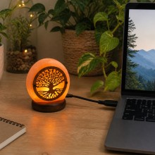 Lampe de sel de l'Himalaya USB Arbre de Vie - 500 g à 1 kg