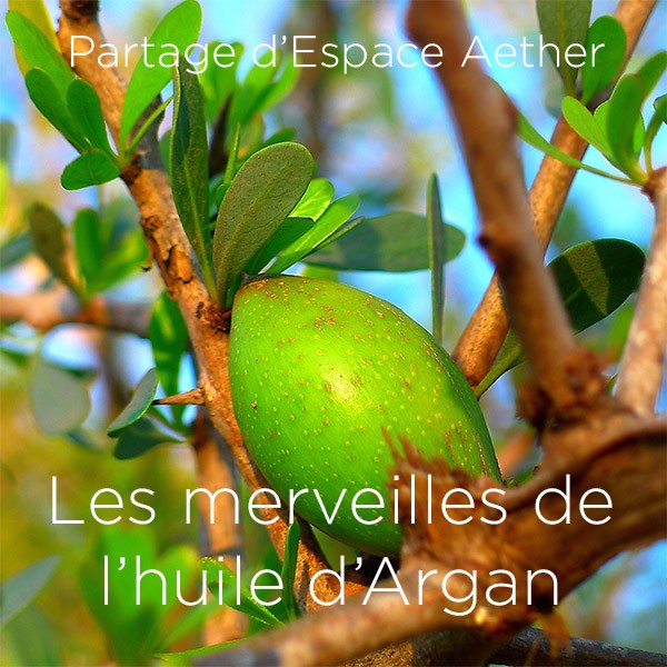 Huile Argan